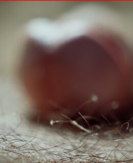 Andyrok — фото 3