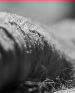 Andyrok — фото 4