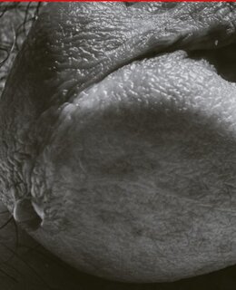 Andyrok — фото 8