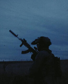 Влад Булташов